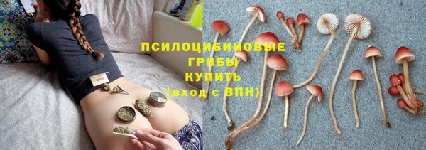 каннабис Струнино