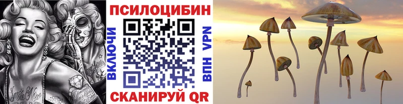 Псилоцибиновые грибы мухоморы  купить  сайты  Гусь-Хрустальный 